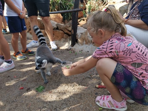 Amazonas Park Crete