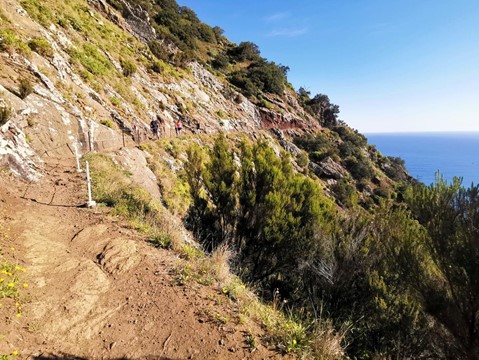 Vereda Larano - Risco