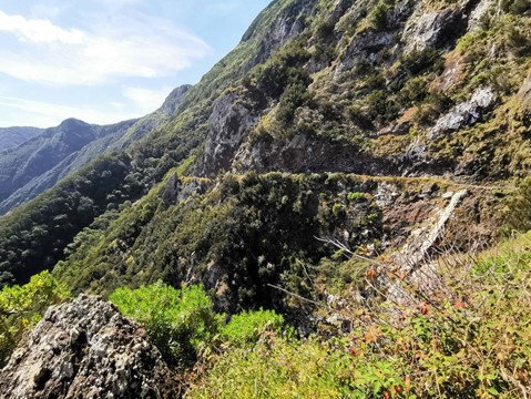 Vereda Larano - Risco