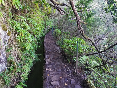 Caldeirao Verde