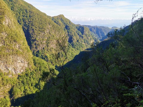 Caldeirao Verde