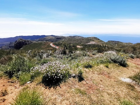 Pico do Arieiro